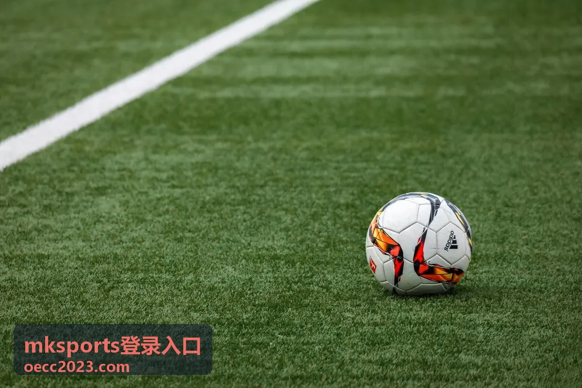 mksports登录入口页面主图，展示登录指引与入口说明